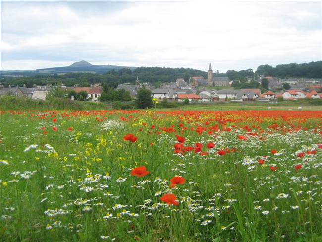 view of Markinch 650wide